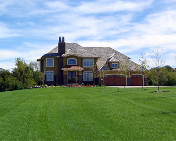 Thompson Turf - Gallery - Lawn 1