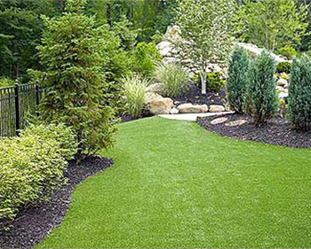 Thompson Turf - Gallery - Lawn 4